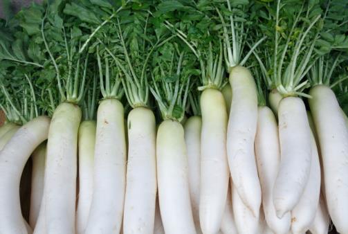 ��ô���x���}�������}�������x����