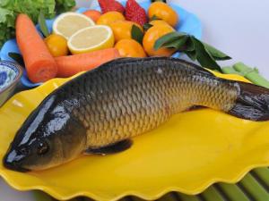如何烹飪鯉魚?鯉魚怎么做好吃