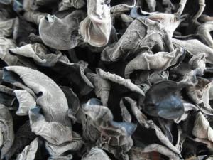 干木耳能用熱水泡嗎?熱水泡干木耳好嗎