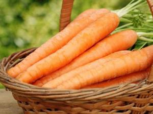 如何儲(chǔ)存胡蘿卜？胡蘿卜怎樣儲(chǔ)存