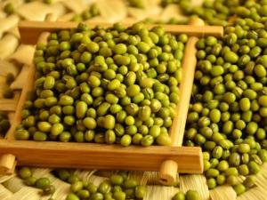 怎樣識(shí)別綠豆的好壞?如何挑選優(yōu)質(zhì)綠豆