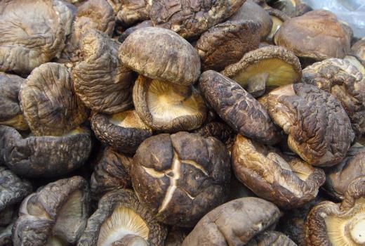 如何選購干香菇?干香菇的挑選方法