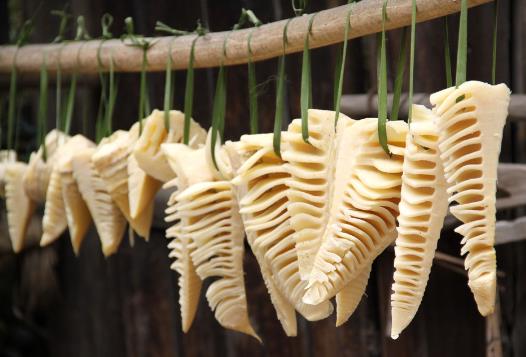 �������x���|�ĹS�����S�ɵ����xС�[�T