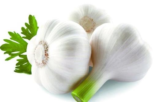 如何鑒別大蒜的質量?挑選大蒜的技巧
