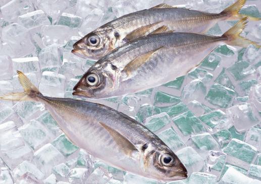 怎樣選購速凍食品?購買速凍食品的注意事項