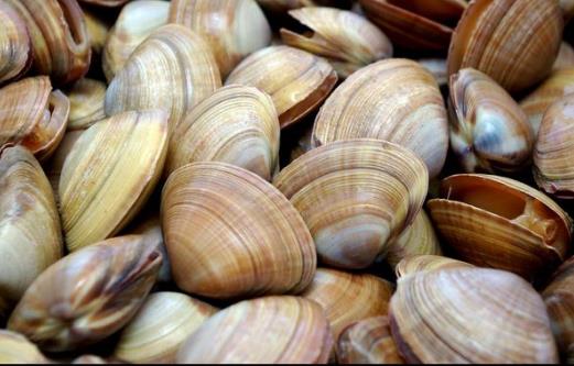 蛤蜊清洗竅門-蛤蜊的食用方法