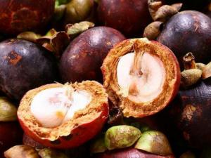 ɽ�������S�S����ʲô ɽ�������S�S���ܳԆ� ɽ�����l�S�ж���