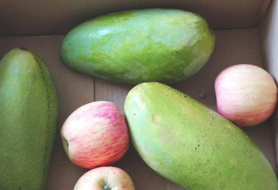 大青芒果硬的能直接吃嗎 怎么辨別青芒果熟沒(méi)熟 催熟青芒果妙招
