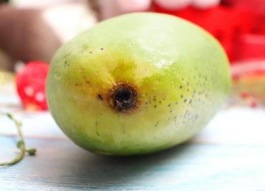 大青芒果硬的能直接吃嗎 怎么辨別青芒果熟沒(méi)熟 催熟青芒果妙招