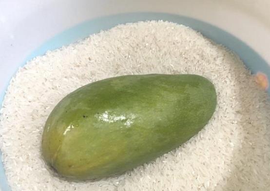 大青芒果硬的能直接吃嗎 怎么辨別青芒果熟沒(méi)熟 催熟青芒果妙招