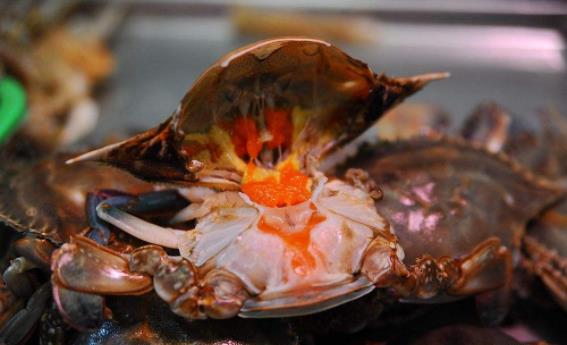 梭子蟹清洗步驟 梭子蟹蒸多久 孕婦能吃梭子蟹嗎