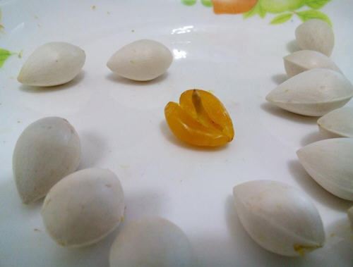 ��΢���t�o�׹�ȥ�����E�D�⣺1��犰׹�ȥ���⚤��1