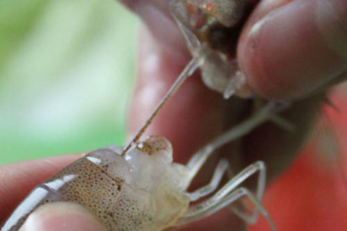 ȥ�r�����ķ���1