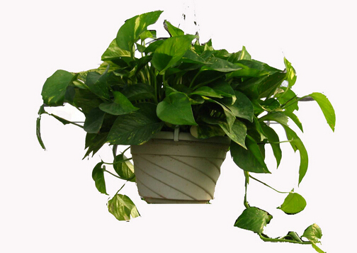 �G�}�~�Ӱl(f��)�S��ô�k���G�}��ô�B(y��ng)��