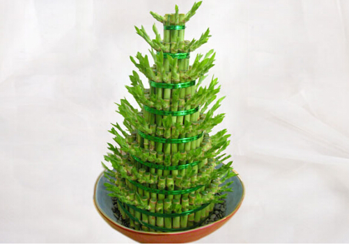 ���F���~�Ӱl(f��)�S��ô�k�����F����ôˮ�B(y��ng)��