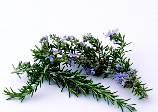 �Ե���Ĺ�Ч�c����-�Ե�����ô�B��