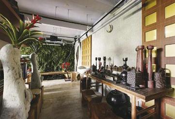 家居布置-室內(nèi)植物擺放