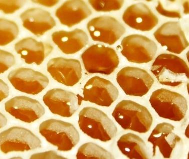 假冒蜂膠有較大危害