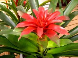 ������С�w�x��ô�k�����Ӹ����������С�w�x