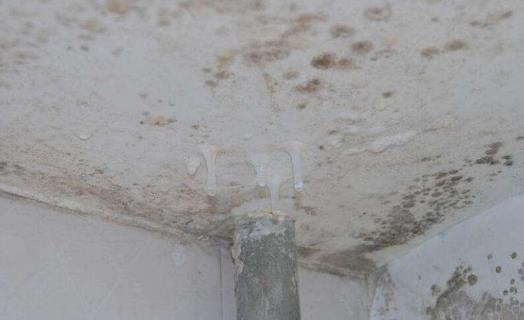 回南天衣物如何防潮?回南天墻上發霉怎么處理