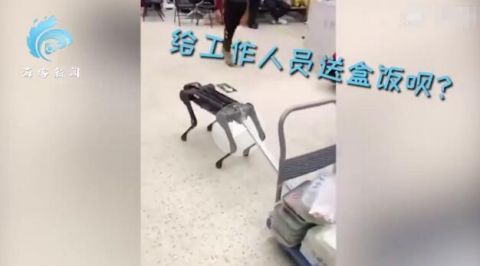 春晚后臺(tái)是怎么送盒飯的 春晚機(jī)器牛臺(tái)上酷炫表演臺(tái)下拉車送盒飯