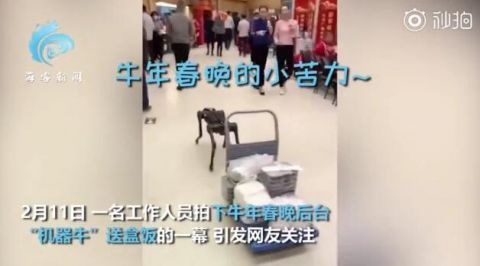 春晚后臺(tái)是怎么送盒飯的 春晚機(jī)器牛臺(tái)上酷炫表演臺(tái)下拉車送盒飯