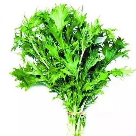 端午節掛的艾草能喝嗎?不到端午門口能放艾草嗎?