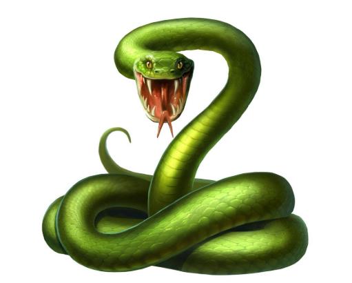 蛇咬著人有什么自救的辦法?在家遇到蛇怎么自救?