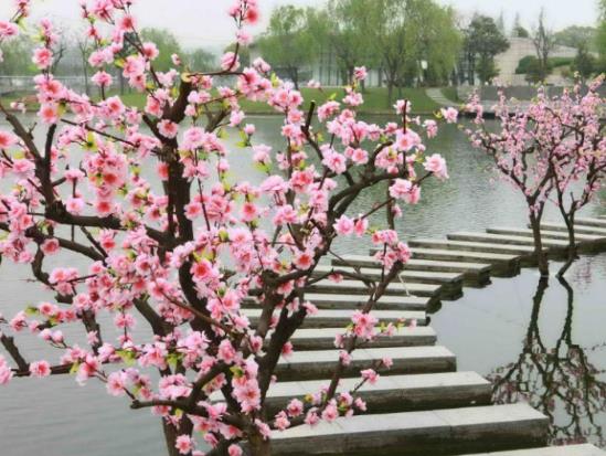 2022年桃花運最旺生肖排名,虎年桃花運遇到真愛生肖