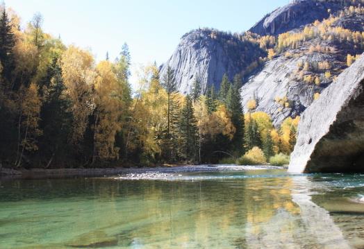 行程卡有幾種顏色?行程卡可以換手機登錄嗎