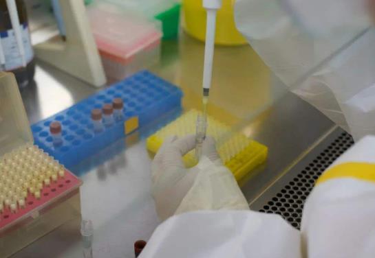 北京公務員考試需要核酸檢測嗎?春運核酸檢測有哪些方式?