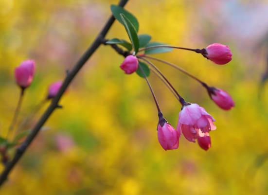 后天打春明天能出門嗎?2022打春當(dāng)天能洗頭嗎