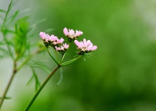 后天打春明天能出門嗎?2022打春當(dāng)天能洗頭嗎