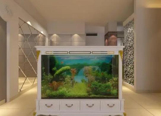 魚缸怎么調節水質?魚缸壽命一般是多少年