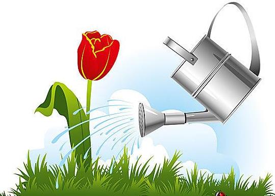 怎么把自來水變成弱酸性澆花?小蘇打澆花的好處