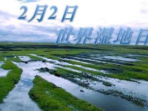 2月2日是什么節(jié)日？世界濕地日是幾月幾日