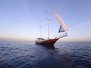 7月11日是什么節日?中國航海日是幾月幾日