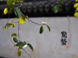 �@�U��ʲô�r�򣿶�ʮ�Ĺ���֮�@�U���Ɂ��c���x