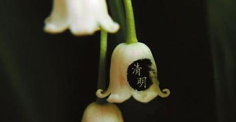 小孩子什么時候能帶去上墳?清明節哪些人不能去上墳