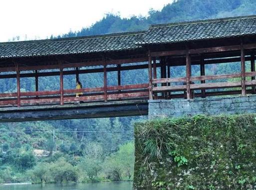 清明上墳可以各上各的嗎?清明上墳買一束花還是兩束花