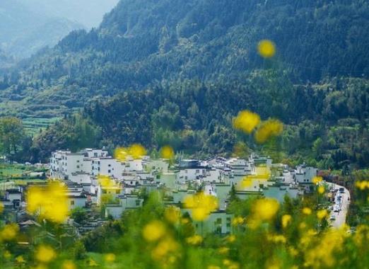 清明上墳可以各上各的嗎?清明上墳買一束花還是兩束花