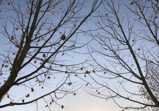 大人和孩子躲春要躲多久?2022年立春躲春要躲多長時間?