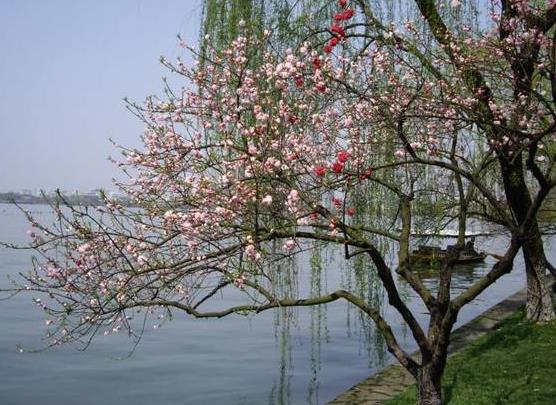 2022年立春躲春的時候可以玩手機嗎?2022立春躲春能不能兩個人一起