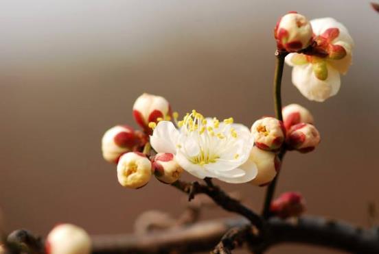 大人和孩子躲春要躲多久?2022年立春躲春要躲多長時間?