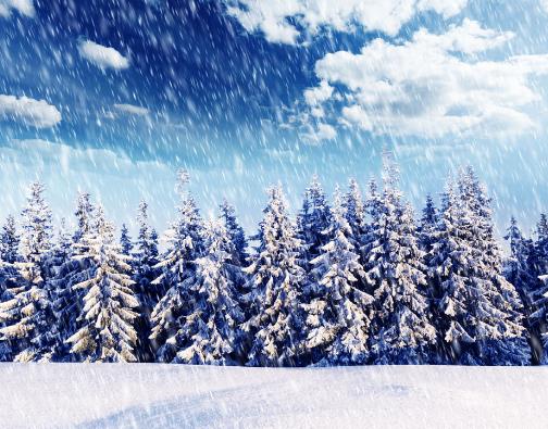 雪地上開車踩剎車有異響正常嗎?下雪天開車怎樣防滑?