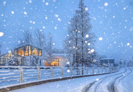 下雪天怎么開車好?下雪天開車踩剎車有異響是怎么回事?