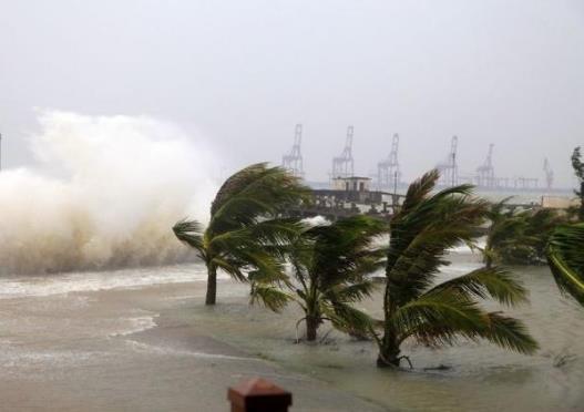 臺風天車子被泡水了保險公司會不會賠?臺風天車被樹砸了怎么辦