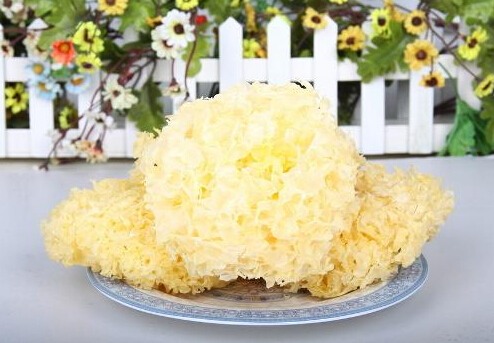 �����ܳ��y���᣿�m�ό������y��������