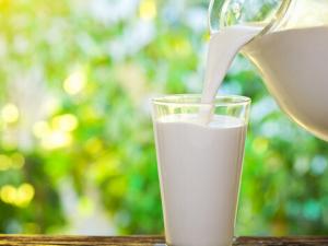 小孩子喝什么牛奶好？小孩喝純牛奶好嗎