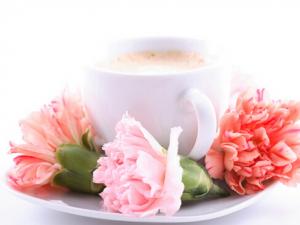 吃植物奶油好嗎？寶寶的哪些零食中含植物奶油